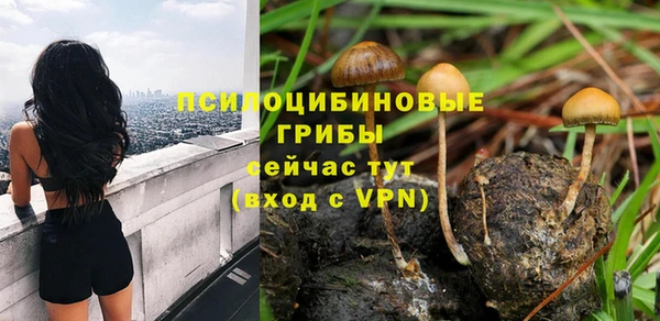 ешки Алзамай